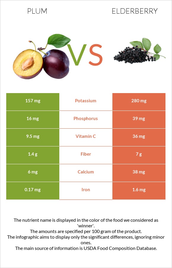 Plum vs Elderberry infographic