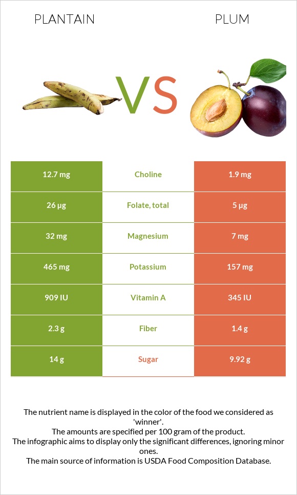 Plantain vs Plum infographic