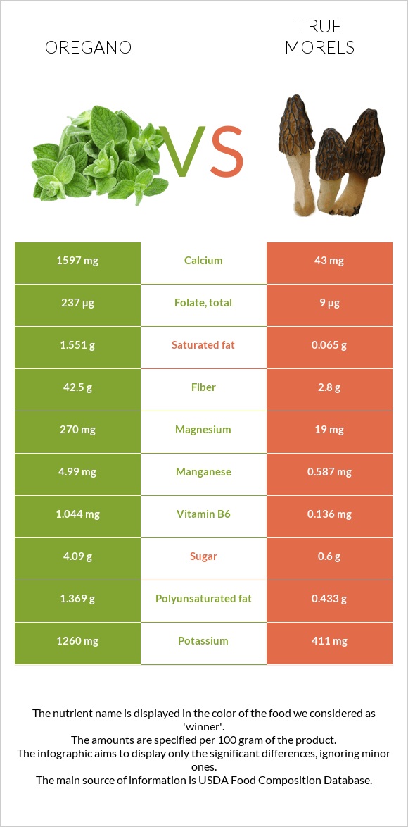Oregano vs True morels infographic