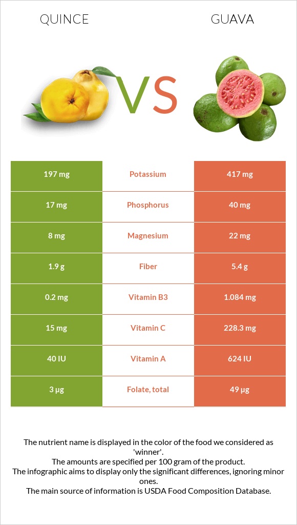 Quince vs Guava infographic