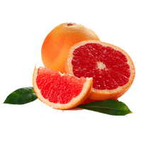 Grapefruit